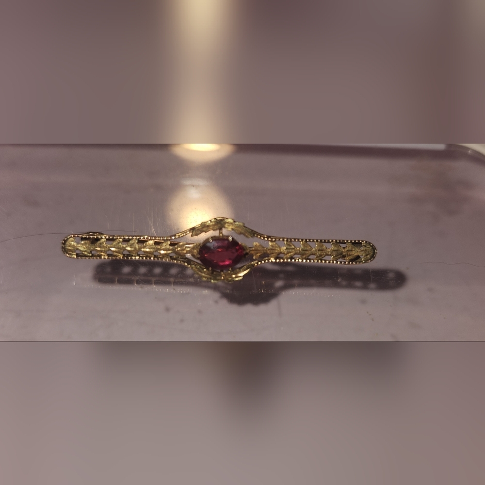 Victorian Era 10kt Gold and Red Gemstone Brooch